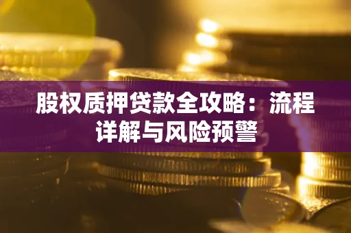 北京股权质押贷款全攻略：流程详解与风险预警