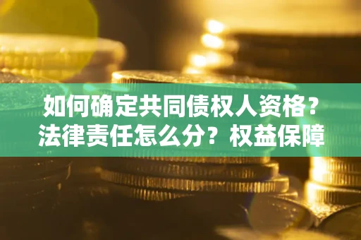 北京如何确定共同债权人资格？法律责任怎么分？权益保障技巧揭秘！