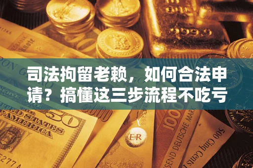 北京司法拘留老赖，如何合法申请？搞懂这三步流程不吃亏！