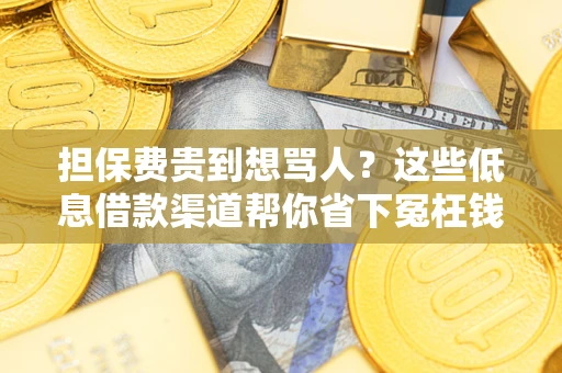 北京担保费贵到想骂人？这些低息借款渠道帮你省下冤枉钱