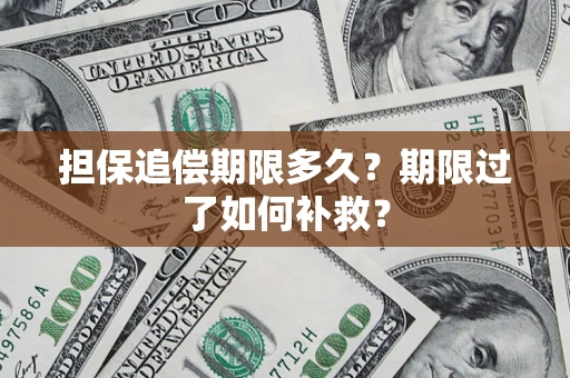 北京担保追偿期限多久？期限过了如何补救？