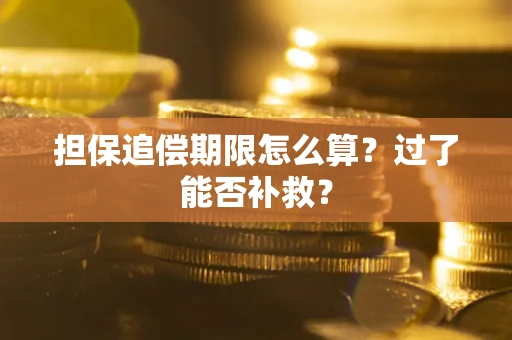 北京担保追偿期限怎么算？过了能否补救？